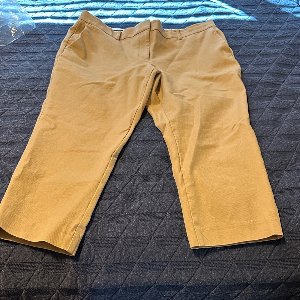 Women’s Ann Taylor The Eva curvy pants